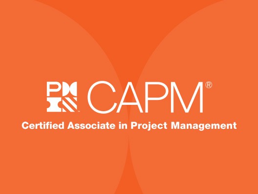 Choosing Between CAPM and PMP Whats Right for Your Career Stage